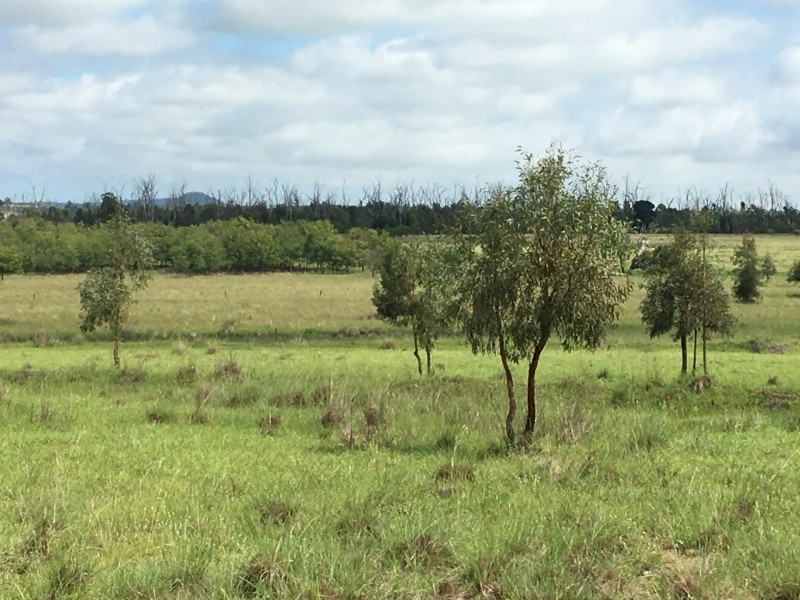 41 Lower Red Hill Road, Wondai QLD 4606