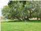 7 Taylors Road, Kingaroy QLD 4610