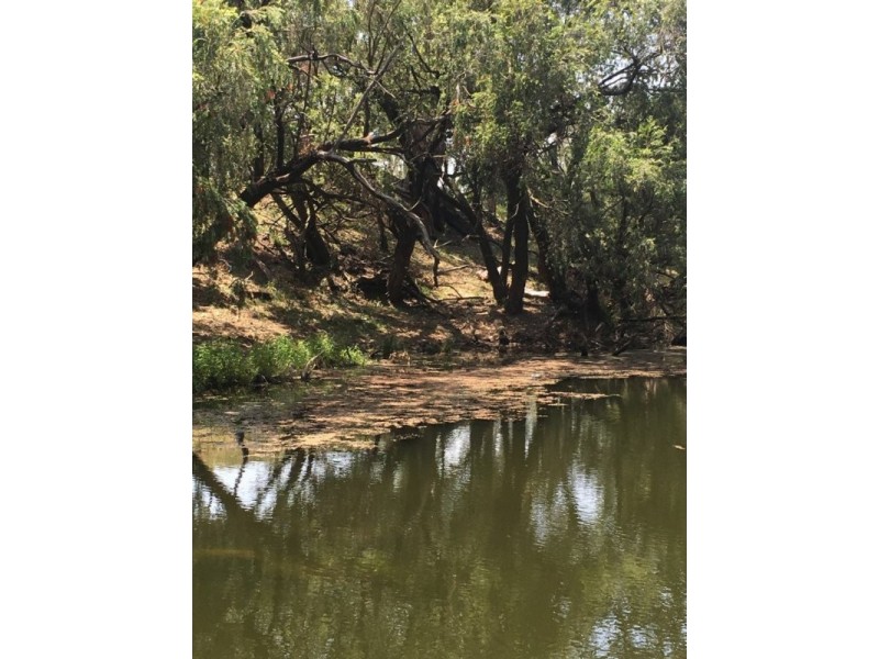 Lots 131,1 Simpsons Road, Wondai QLD 4606