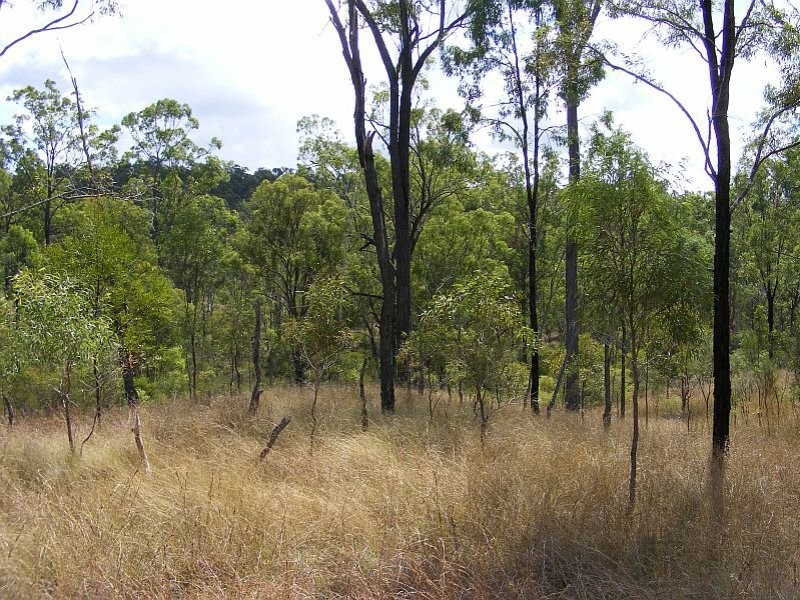 Lots 131,1 Simpsons Road, Wondai QLD 4606