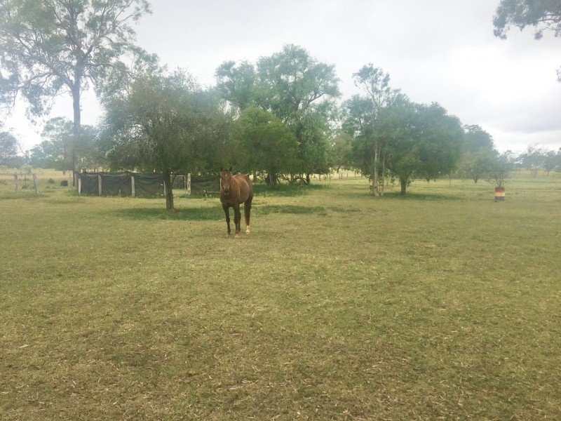 383 Boonenne Ellesmere Road, Kingaroy QLD 4610