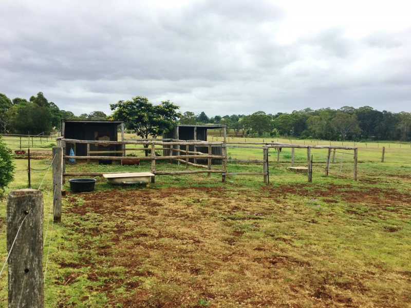 103 Tingoora Charlestown Road, Tingoora QLD 4608