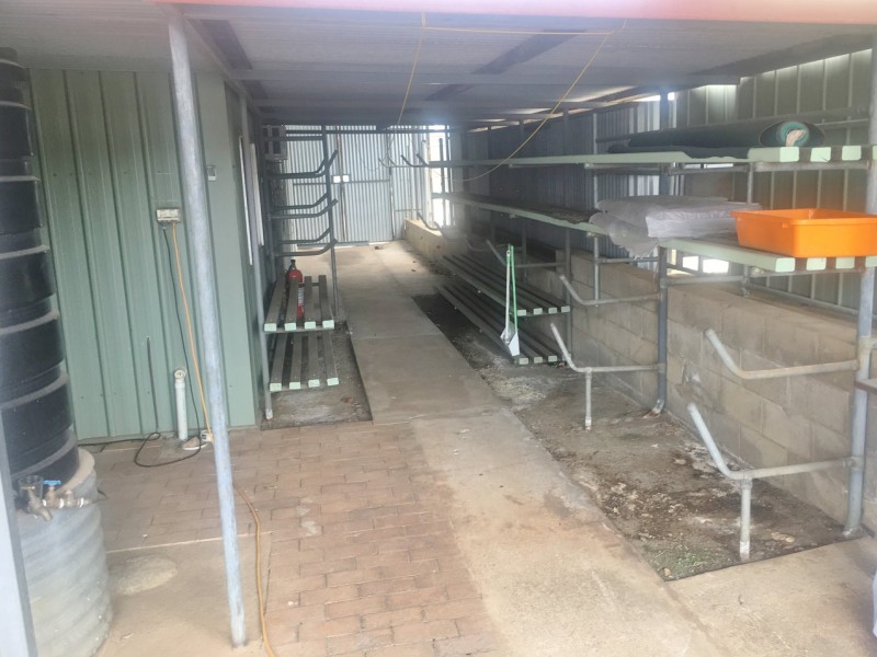 36 Scott Street, Wondai QLD 4606