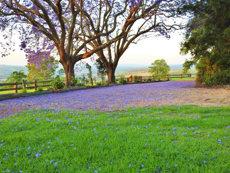 297 Birt Road, Kingaroy QLD 4610