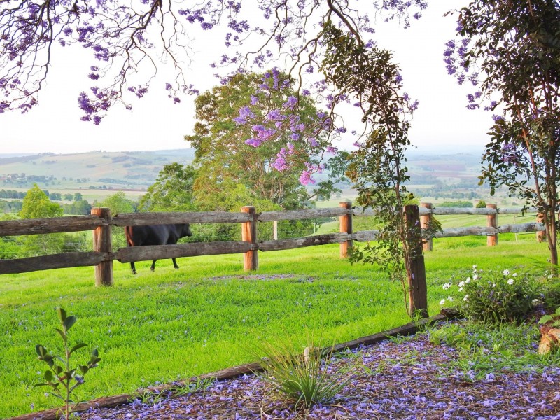 297 Birt Road, Kingaroy QLD 4610