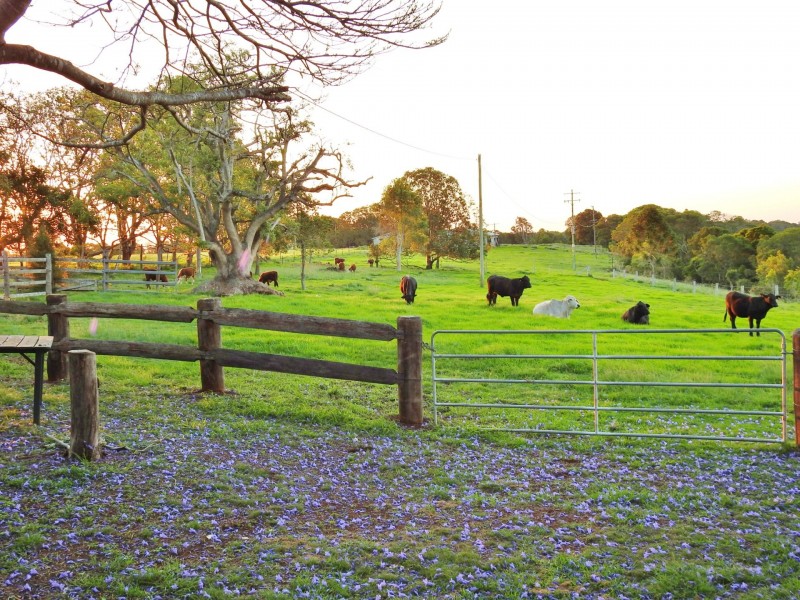297 Birt Road, Kingaroy QLD 4610
