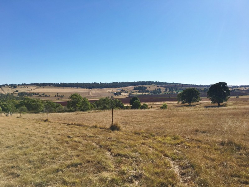 29 Diamond Court, Kingaroy QLD 4610