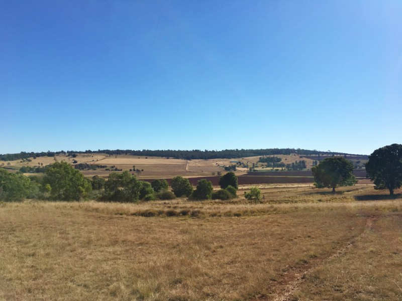 29 Diamond Court, Kingaroy QLD 4610