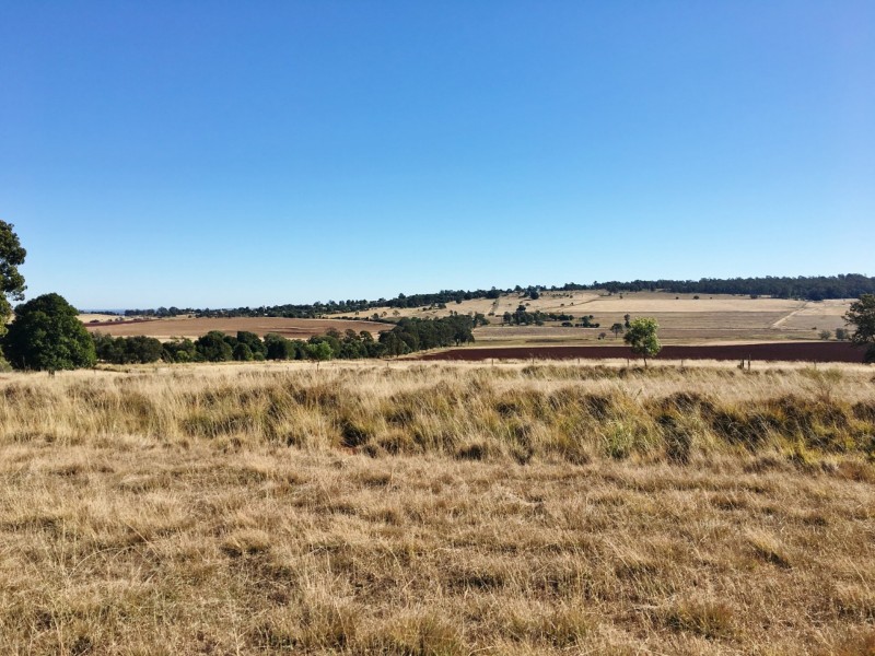 29 Diamond Court, Kingaroy QLD 4610