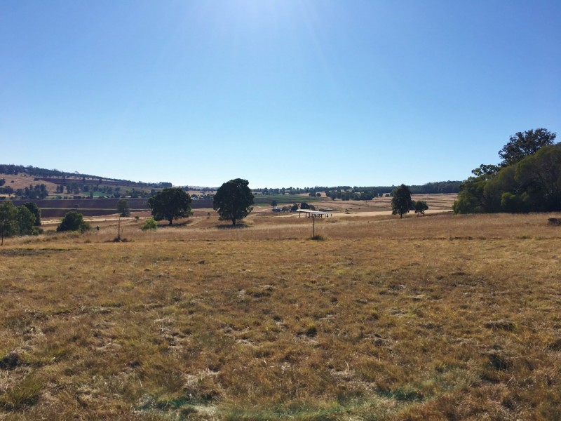 29 Diamond Court, Kingaroy QLD 4610