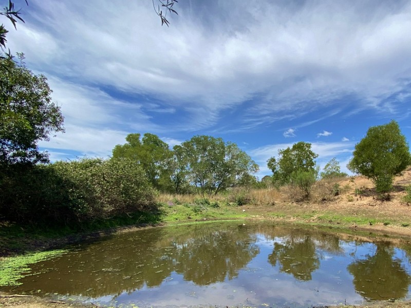156 McAuliffes Road, Kingaroy QLD 4610