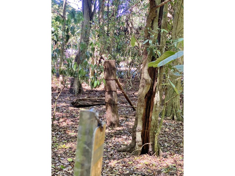 Lot 8 Bunya Mountains Road, Bunya Mountains QLD 4405