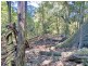 Lot 8 Bunya Mountains Road, Bunya Mountains QLD 4405