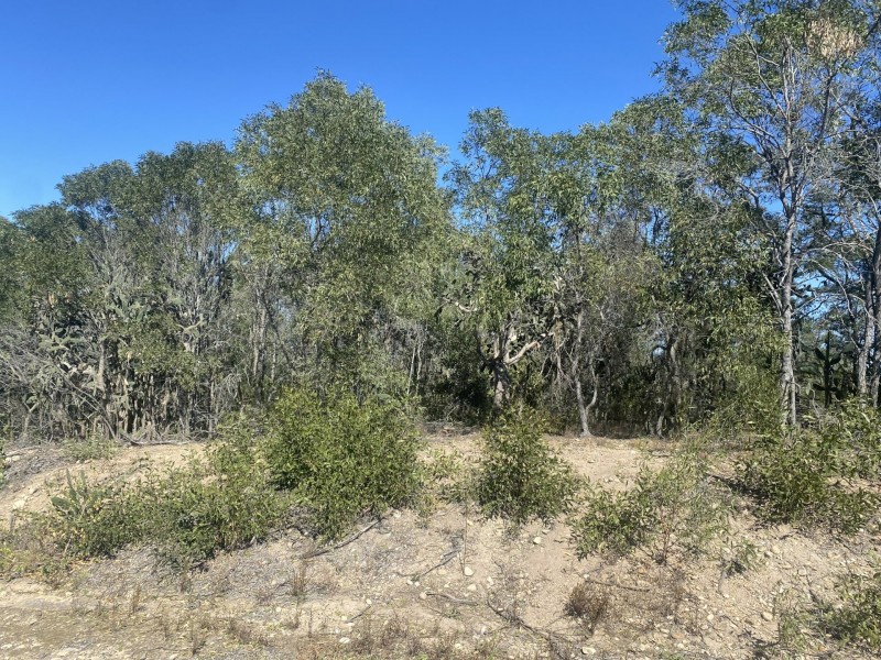 45 Tanduringie Drive, Tarong QLD 4615