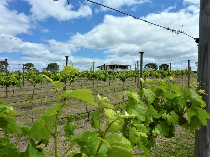 34 Steinhardts Road, Moffatdale QLD 4605