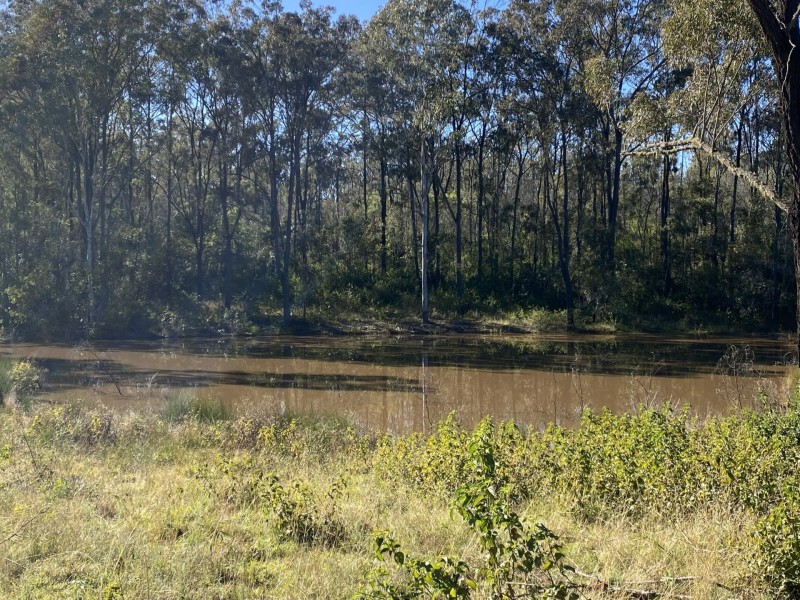 32 Parker Road, Ellesmere QLD 4610