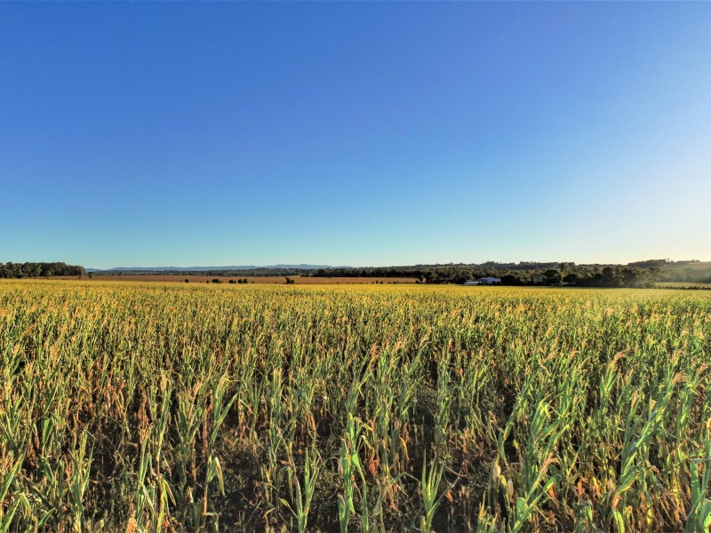 ‘Whiterock Kingaroy Cooyar Road, Kingaroy QLD 4610