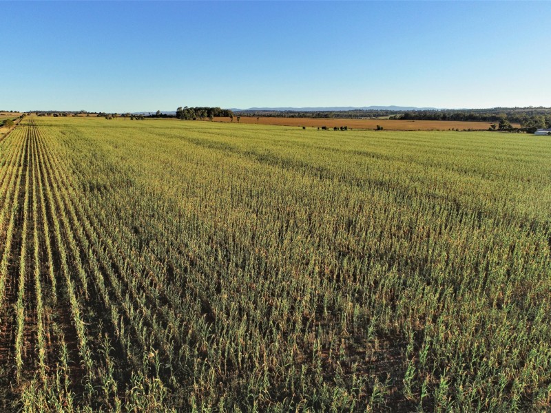 ‘Whiterock Kingaroy Cooyar Road, Kingaroy QLD 4610