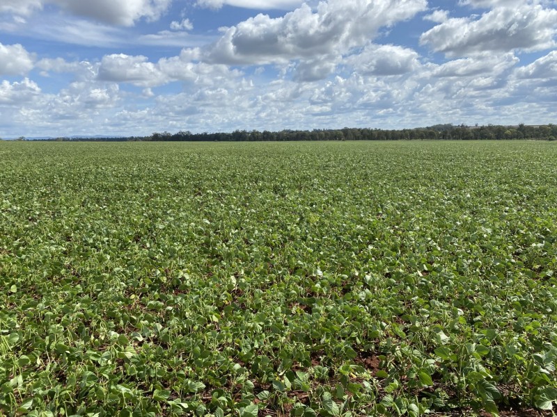 ‘Whiterock Kingaroy Cooyar Road, Kingaroy QLD 4610