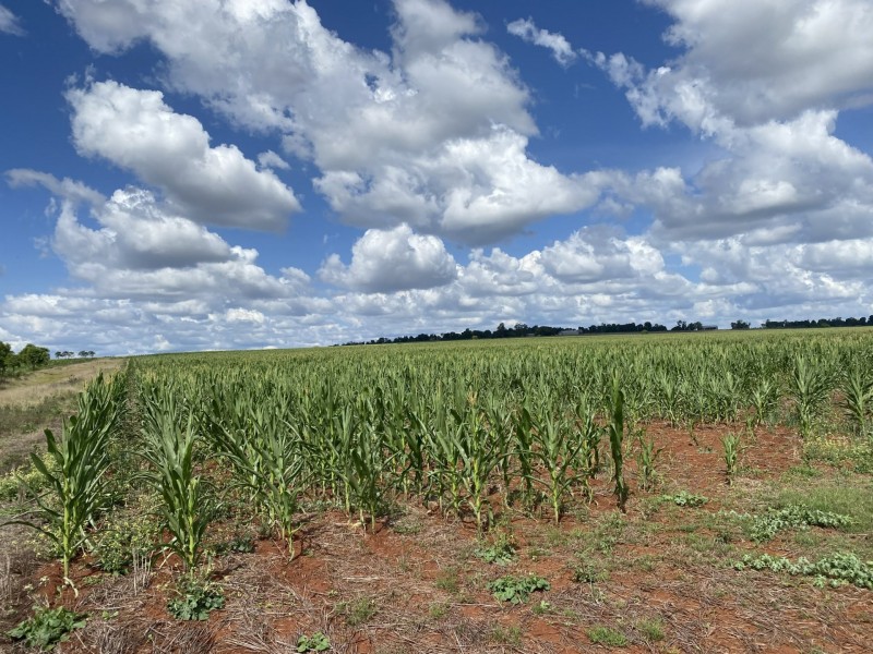 ‘Whiterock Kingaroy Cooyar Road, Kingaroy QLD 4610