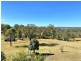 381 Parker Road, Ellesmere QLD 4610