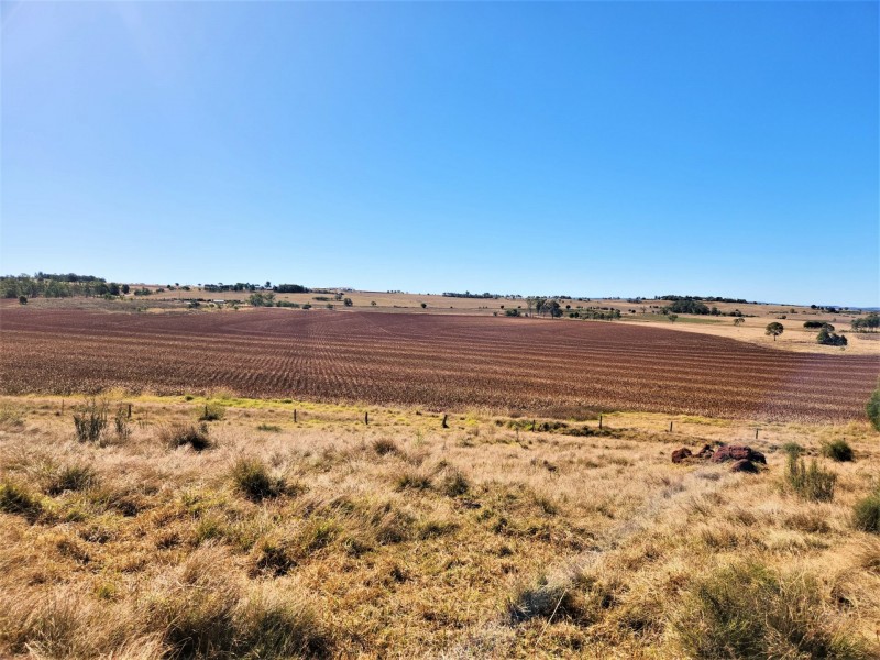 376 Reedy Creek Road, Kingaroy QLD 4610