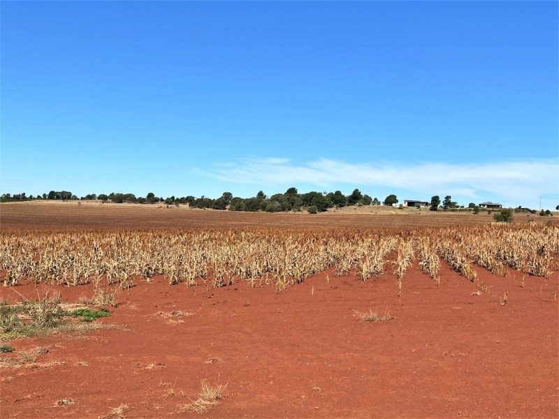 376 Reedy Creek Road, Kingaroy QLD 4610