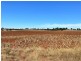 376 Reedy Creek Road, Kingaroy QLD 4610