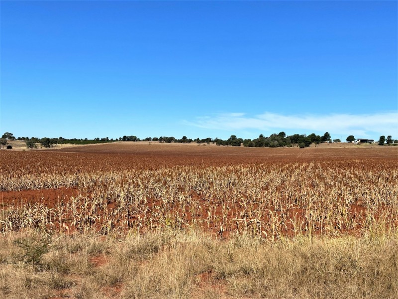 376 Reedy Creek Road, Kingaroy QLD 4610