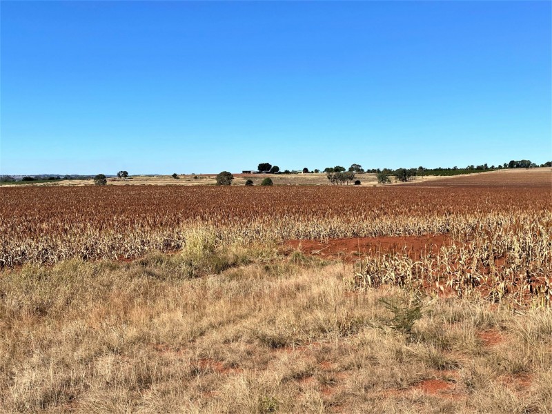 376 Reedy Creek Road, Kingaroy QLD 4610