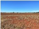 376 Reedy Creek Road, Kingaroy QLD 4610