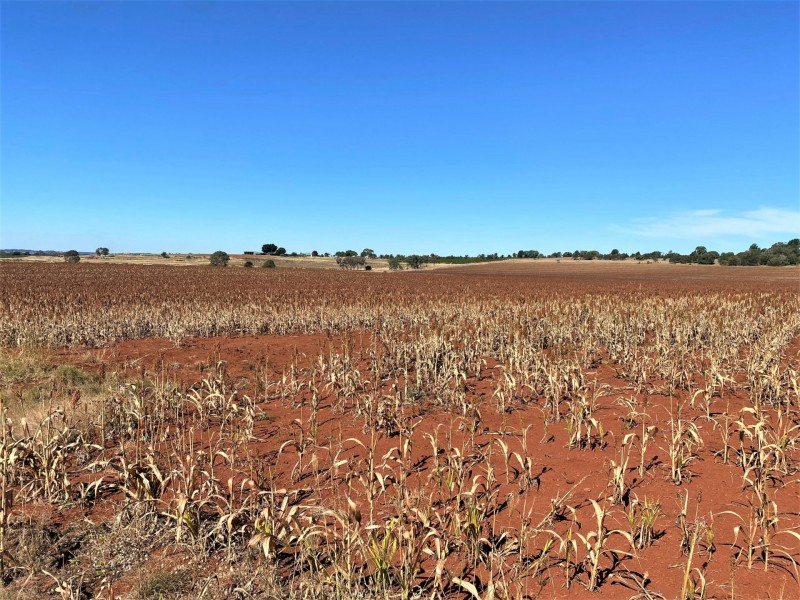 376 Reedy Creek Road, Kingaroy QLD 4610