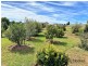 21 – 23 Premier Drive, Kingaroy QLD 4610