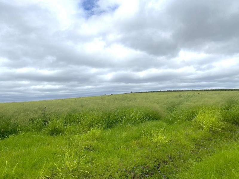 Lot 224 Schellbachs Road, Kingaroy QLD 4610