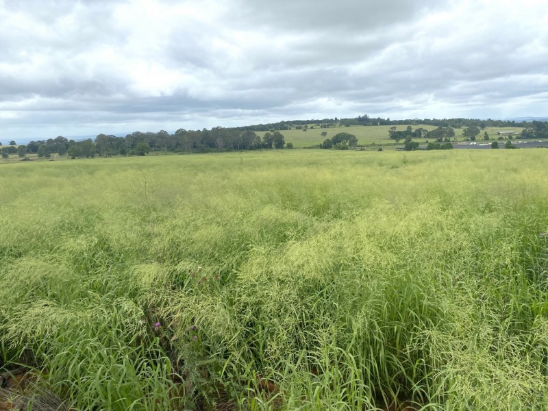 Lot 224 Schellbachs Road, Kingaroy QLD 4610