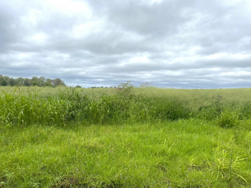 Lot 224 Schellbachs Road, Kingaroy QLD 4610