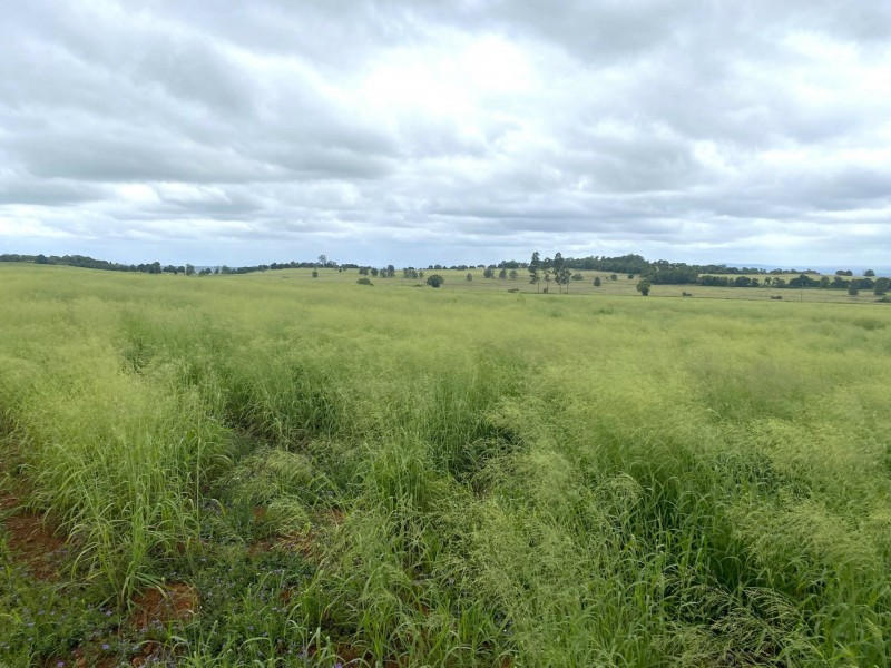 Lot 224 Schellbachs Road, Kingaroy QLD 4610