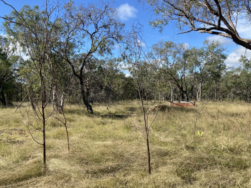 354 Shellytop Road, Durong QLD 4610