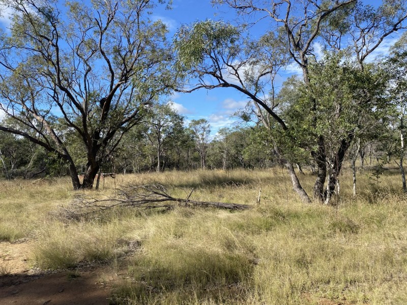 354 Shellytop Road, Durong QLD 4610