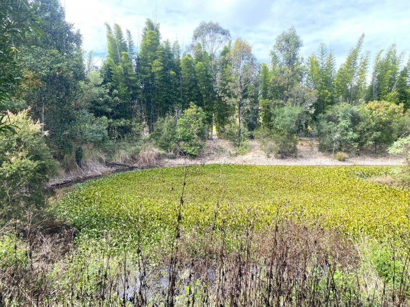 23 South Kerton Road, Nanango QLD 4615