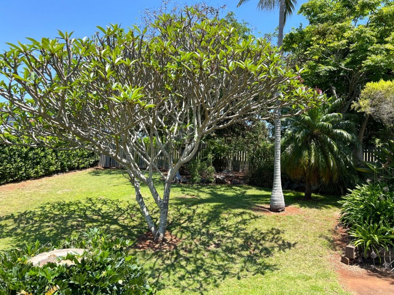 24 Nolan Drive, Kingaroy QLD 4610