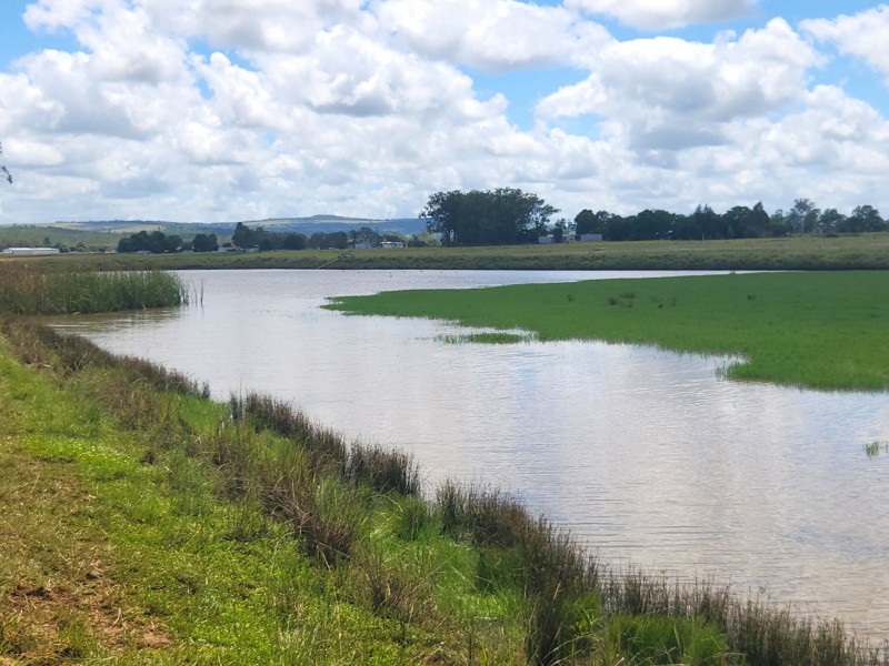 281 Wheatlands Loop Road, Wheatlands QLD 4606