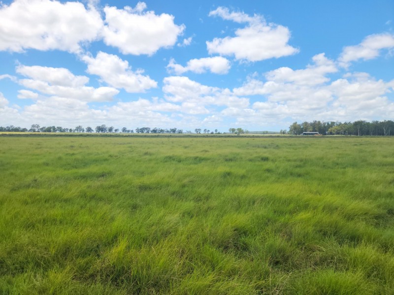 281 Wheatlands Loop Road, Wheatlands QLD 4606