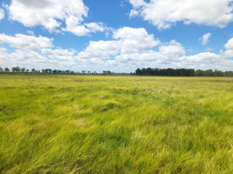 281 Wheatlands Loop Road, Wheatlands QLD 4606