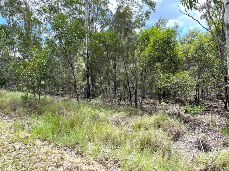 Lot 102 McNicholl Road, Wattle Camp QLD 4615