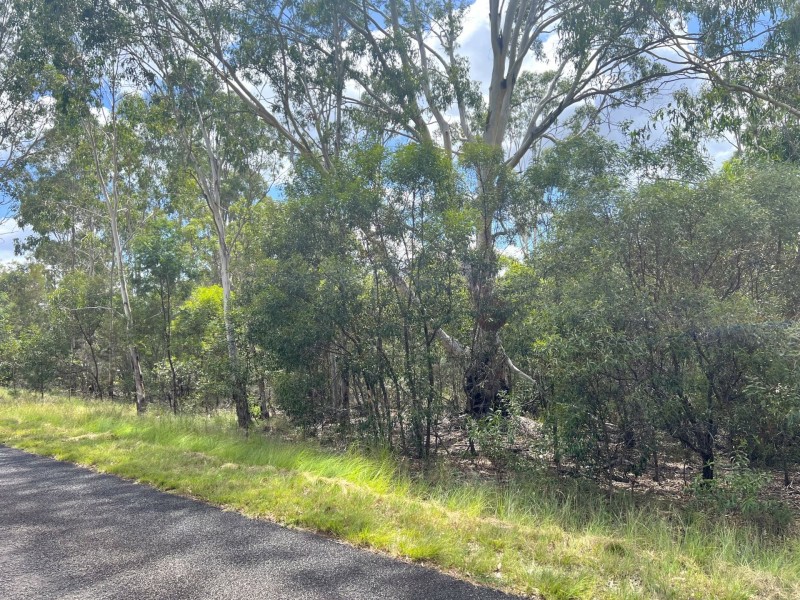 Lot 102 McNicholl Road, Wattle Camp QLD 4615