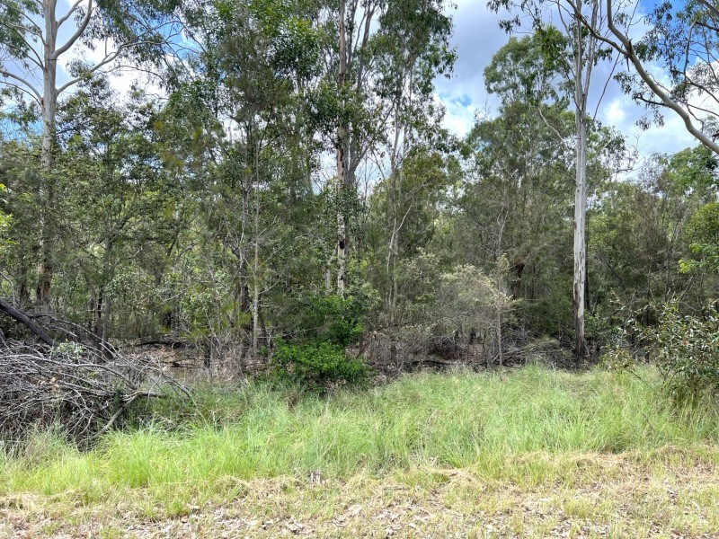 Lot 102 McNicholl Road, Wattle Camp QLD 4615