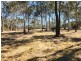 Lot 50 McClymont Road, Wattle Camp QLD 4615