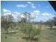 Stonelands QLD 4612
