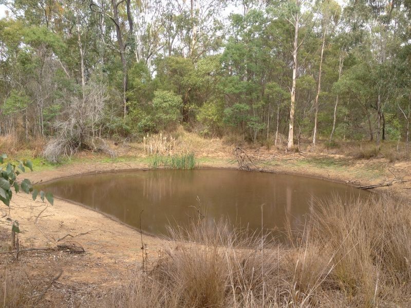 142 Old Rifle Range Road, Nanango QLD 4615